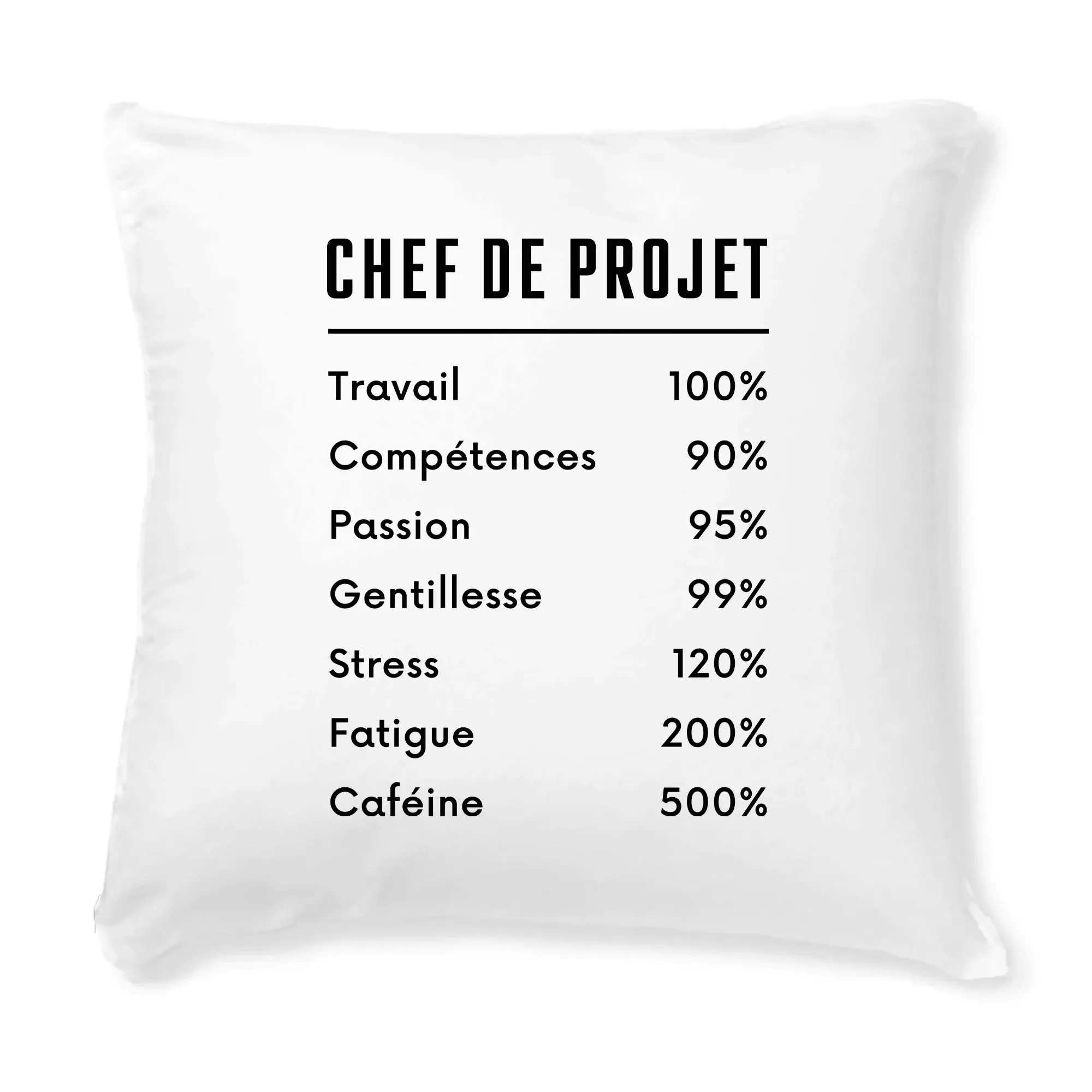 Coussin Chef de projet