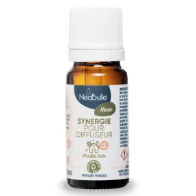 Synergie pour Diffuseur Hiver - 10 ml